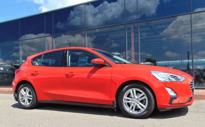 Ford Focus cena 65900 przebieg: 54872, rok produkcji 2019 z Ełk małe 436